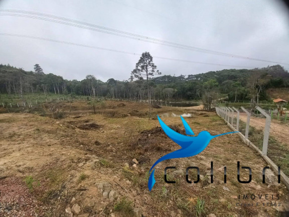 Imagem Chácara com 3 Quartos à Venda, 4.612 m² em Ribeirão Grande - Agudos Do Sul Imagem Chácara com 3 Quartos à Venda, 4.612 m² em Ribeirão Grande - Agudos Do Sul