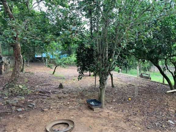 Imagem Casa com 3 Quartos à Venda, 594 m² em Martinica - Viamão Imagem Casa com 3 Quartos à Venda, 594 m² em Martinica - Viamão