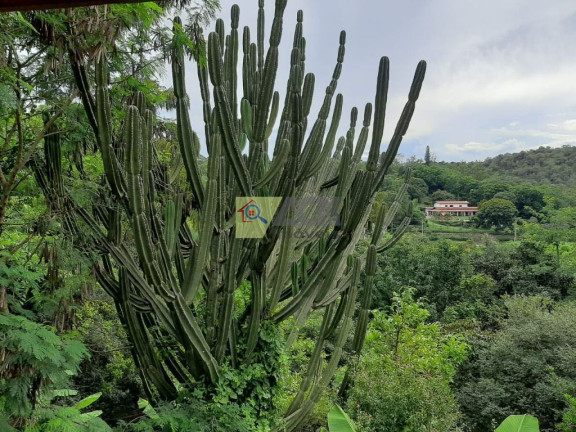 Imagem Imóvel com 4 Quartos à Venda, 300 m² em Parque Valinhos - Valinhos