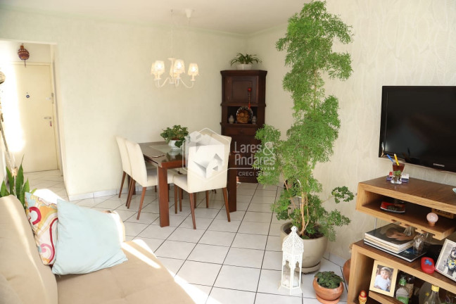 Imagem Apartamento com 3 Quartos à Venda, 69 m² em Jardim Santo Amaro - São Paulo Imagem Apartamento com 3 Quartos à Venda, 69 m² em Jardim Santo Amaro - São Paulo