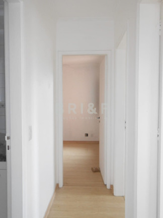Imagem Apartamento com 3 Quartos para Alugar, 75 m² em Jardim Caboré - São Paulo Imagem Apartamento com 3 Quartos para Alugar, 75 m² em Jardim Caboré - São Paulo