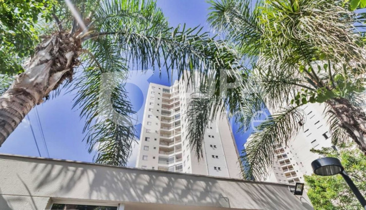 Imagem Apartamento com 2 Quartos à Venda, 49 m² em Vila Endres - Guarulhos Imagem Apartamento com 2 Quartos à Venda, 49 m² em Vila Endres - Guarulhos