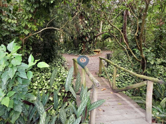 Imagem Terreno à Venda, 65 m² em Jardim Mediterrâneo - Cotia