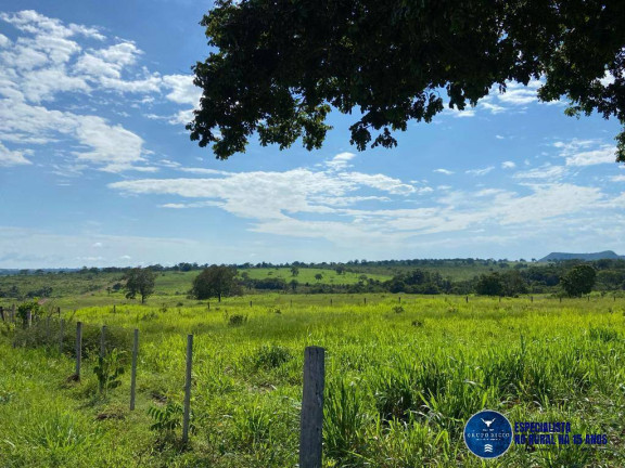 Imagem Fazenda à Venda, 121 m² em Zona Rural - Torixoréu Imagem Fazenda à Venda, 121 m² em Zona Rural - Torixoréu