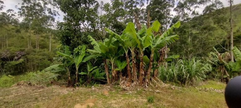 Imagem Chácara com 1 Quarto à Venda, 100 m² em Catuçaba - São Luíz Do Paraitinga Imagem Chácara com 1 Quarto à Venda, 100 m² em Catuçaba - São Luíz Do Paraitinga