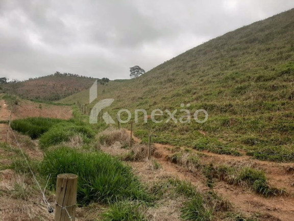 Imagem Fazenda à Venda, 90 m² em Itapeva - Paraibuna Imagem Fazenda à Venda, 90 m² em Itapeva - Paraibuna