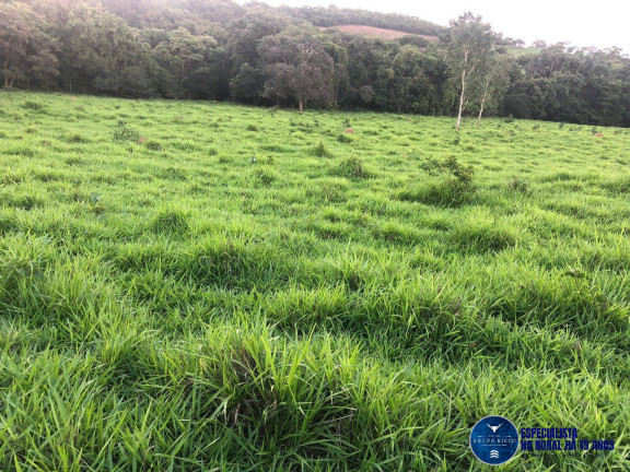 Imagem Chácara à Venda, 11 m² em Zona Rural - Jaraguá Imagem Chácara à Venda, 11 m² em Zona Rural - Jaraguá