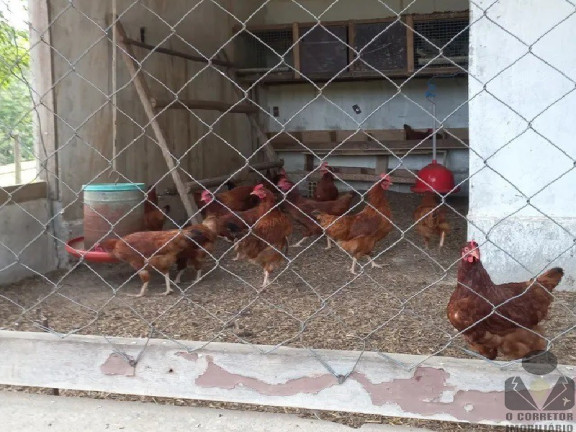 Imagem Imóvel com 3 Quartos à Venda, 33.900 m² em Almeida - Jaboticatubas Imagem Imóvel com 3 Quartos à Venda, 33.900 m² em Almeida - Jaboticatubas