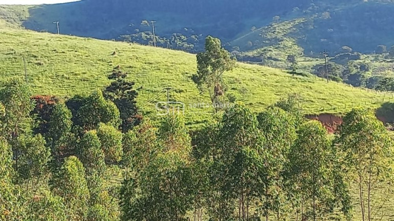 Imagem Imóvel com 2 Quartos à Venda, 266.000 m² em Branco - Lavrinhas Imagem Imóvel com 2 Quartos à Venda, 266.000 m² em Branco - Lavrinhas