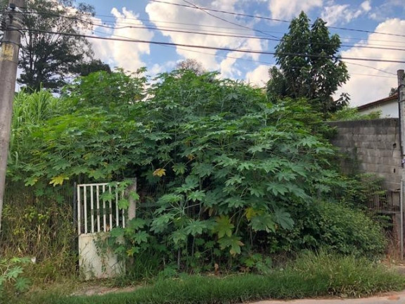 Imagem Terreno à Venda, 780 m² em Jardim Rebelato - Cotia Imagem Terreno à Venda, 780 m² em Jardim Rebelato - Cotia