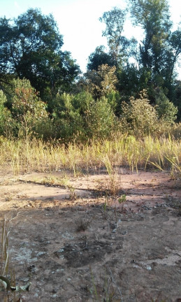 Imagem Terreno à Venda, 34 m² em Terra Preta - Mairiporã