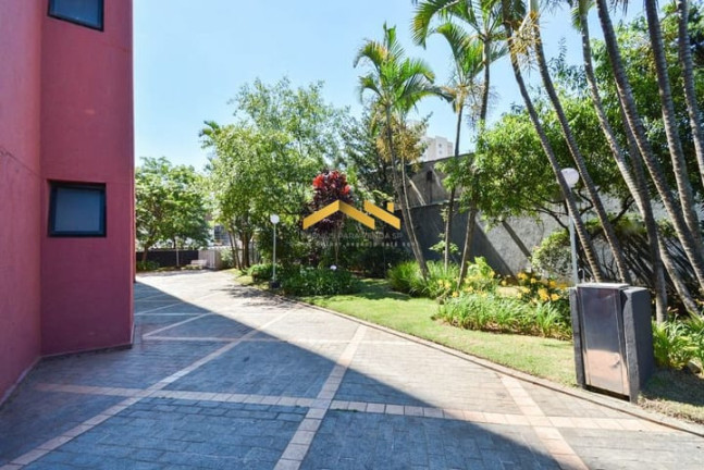 Imagem Apartamento com 3 Quartos à Venda, 78 m² em Bosque Da Saúde - São Paulo