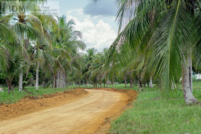 Imagem Chácara à Venda, 862.000 m² em Centro - Manaus