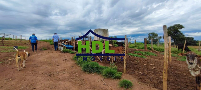 Imagem Fazenda à Venda, 61 m² em Zona Rural - Pontalina