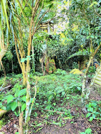 Imagem Casa com 2 Quartos à Venda, 162 m² em Boiçucanga - São Sebastião Imagem Casa com 2 Quartos à Venda, 162 m² em Boiçucanga - São Sebastião