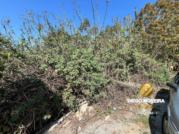 Imagem Terreno à Venda, 1.532 m² em Terra Preta - Mairiporã Imagem Terreno à Venda, 1.532 m² em Terra Preta - Mairiporã