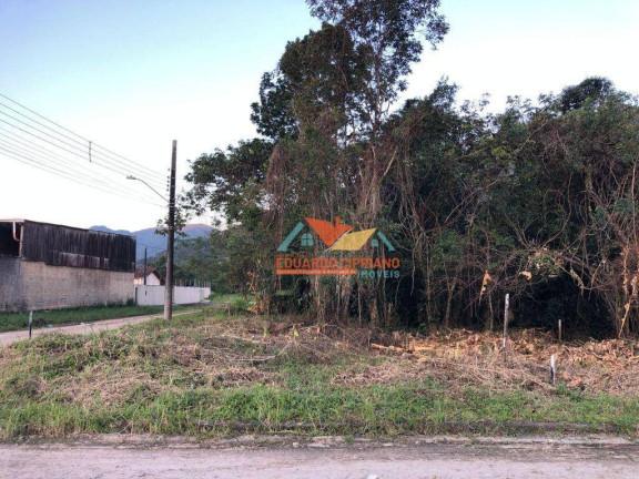 Imagem Terreno à Venda, 466 m² em Tabatinga - Caraguatatuba