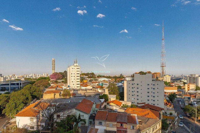 Imagem Apartamento com 2 Quartos à Venda, 108 m² em Alto Da Lapa - São Paulo Imagem Apartamento com 2 Quartos à Venda, 108 m² em Alto Da Lapa - São Paulo
