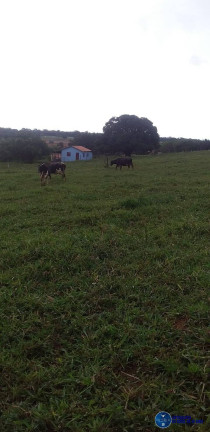 Imagem Chácara à Venda, 2 m² em Zona Rural - Petrolina De Goiás Imagem Chácara à Venda, 2 m² em Zona Rural - Petrolina De Goiás