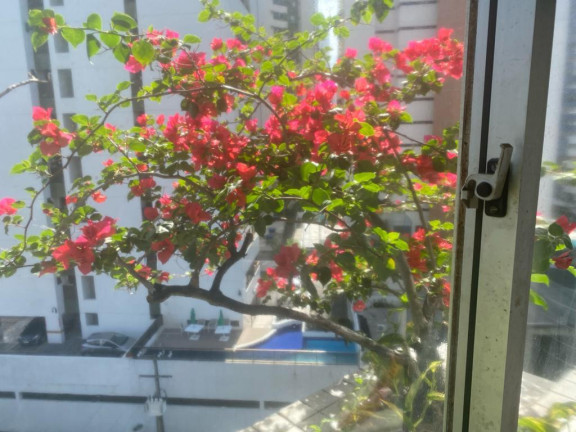 Imagem Apartamento com 3 Quartos à Venda, 110 m² em Boa Viagem - Recife