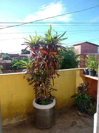 Imagem Casa com 3 Quartos à Venda, em Satélite - Teresina Imagem Casa com 3 Quartos à Venda, em Satélite - Teresina