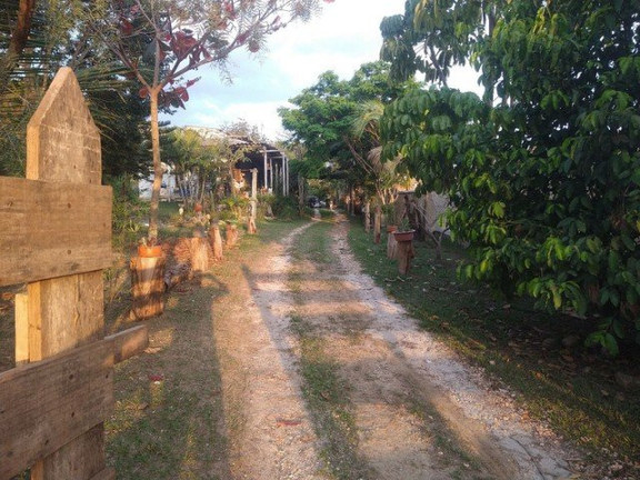 Imagem Fazenda à Venda, 3.000 m² em Jardim Santa Luzia - Guaratinguetá