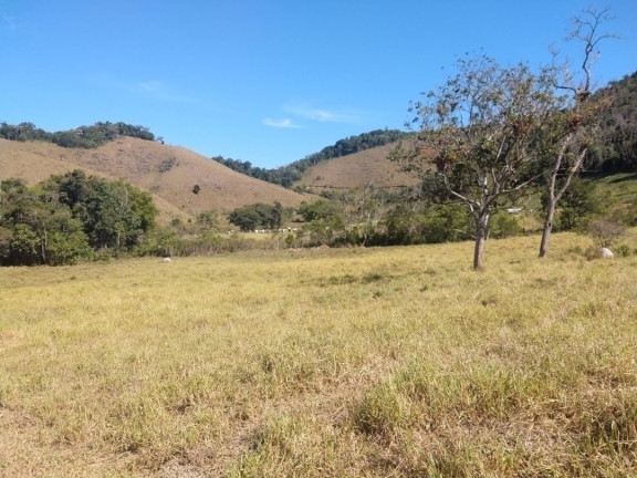 Imagem Fazenda à Venda, 90 m² em Centro - São Luíz Do Paraitinga
