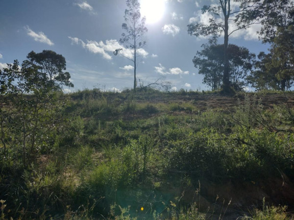 Imagem Terreno à Venda, 20.000 m² em Alto Perequê - Arroio Do Padre