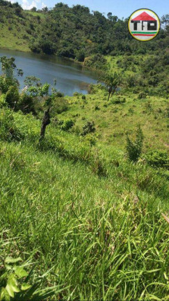 Imagem Fazenda à Venda, 8.131.200 m² em Logradouro Sem Nome, Novo Repartimento - Pa, 68473-000, Brasil -4.759492, -49.588326 - Novo Repartimento Imagem Fazenda à Venda, 8.131.200 m² em Logradouro Sem Nome, Novo Repartimento - Pa, 68473-000, Brasil -4.759492, -49.588326 - Novo Repartimento