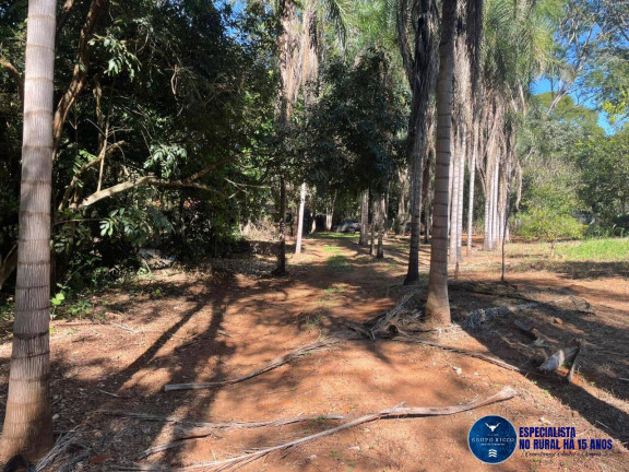 Imagem Chácara à Venda, 6 m² em Zona Rural - Bonfinópolis Imagem Chácara à Venda, 6 m² em Zona Rural - Bonfinópolis