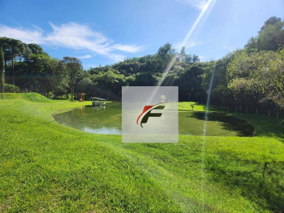 Imagem Chácara com 3 Quartos à Venda, 305.000 m² em Zona Rural - Tijucas Do Sul