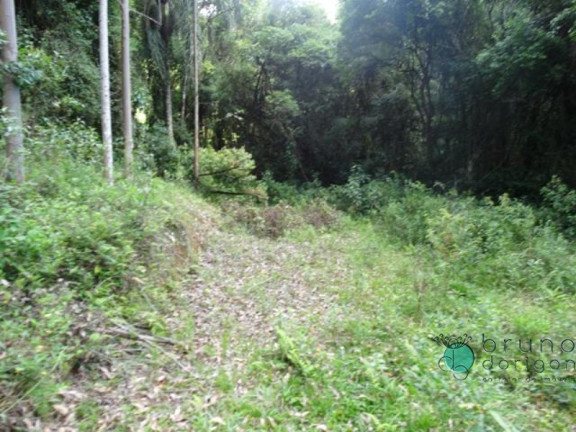 Imagem Imóvel à Venda, em Zona Rural - Alfredo Wagner Imagem Imóvel à Venda, em Zona Rural - Alfredo Wagner
