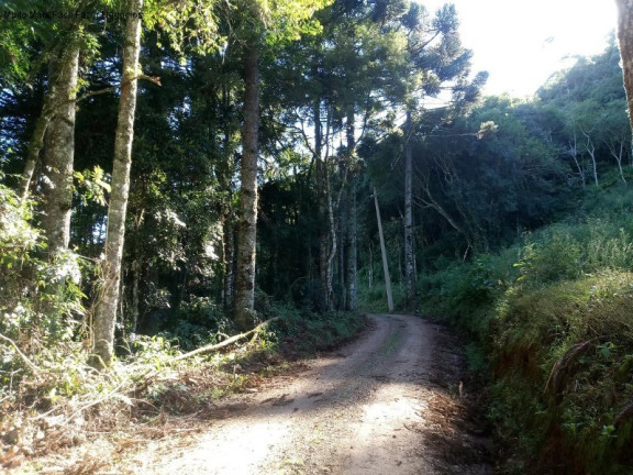 Imagem Terreno à Venda, 2 m² em Linha Imperial - Nova Petrópolis Imagem Terreno à Venda, 2 m² em Linha Imperial - Nova Petrópolis