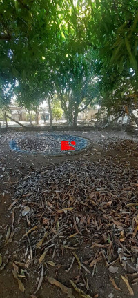 Imagem Casa de Condomínio com 2 Quartos à Venda,  em São José Da Lapa