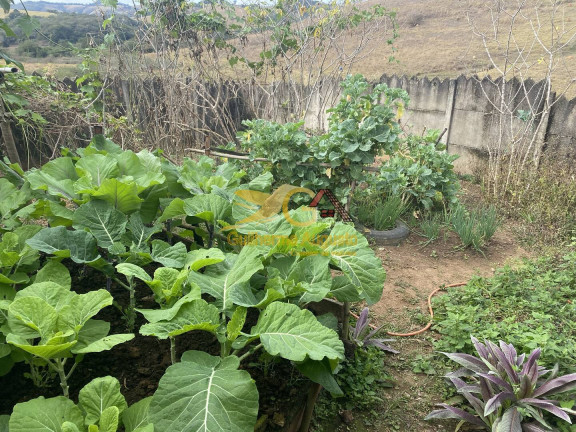 Imagem Fazenda à Venda, 96 m² em São João Del Rei Imagem Fazenda à Venda, 96 m² em São João Del Rei
