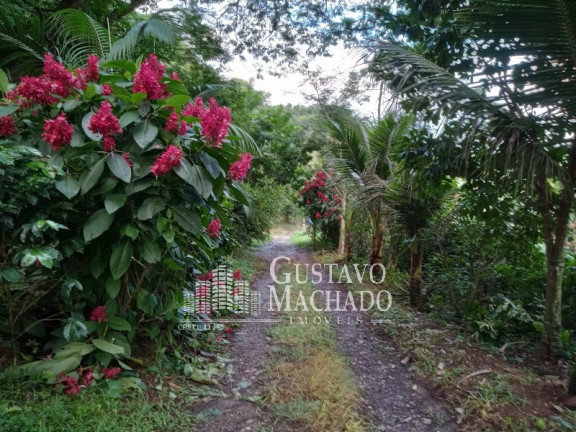 Imagem Terreno à Venda, 840 m² em Rio Claro - Rio Claro