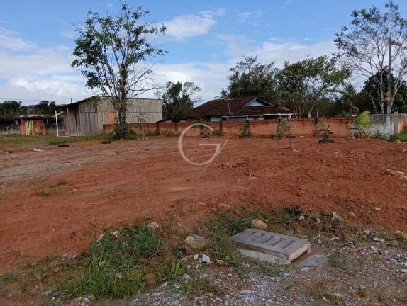 Imagem Terreno à Venda, 375 m² em Alexandra-matinhos - Matinhos