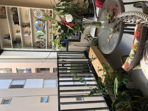 Imagem Apartamento com 2 Quartos para Alugar, 41 m² em Jardim Da Glória - Cotia Imagem Apartamento com 2 Quartos para Alugar, 41 m² em Jardim Da Glória - Cotia