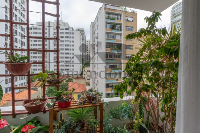 Imagem Apartamento com 3 Quartos à Venda, 202 m² em Higienópolis - São Paulo Imagem Apartamento com 3 Quartos à Venda, 202 m² em Higienópolis - São Paulo