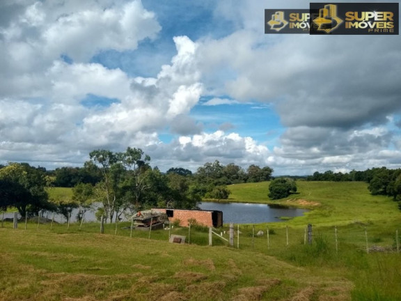 Imagem Imóvel com 8 Quartos à Venda, 60.000 m² em Centro - Canguçu