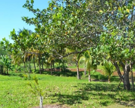Imagem Imóvel à Venda, em . - Tanguá Imagem Imóvel à Venda, em . - Tanguá