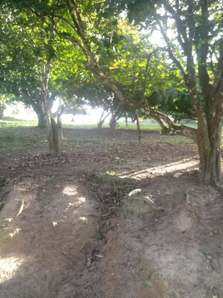 Imagem Chácara com 3 Quartos à Venda, 32 m² em Três Vendas - Araruama Imagem Chácara com 3 Quartos à Venda, 32 m² em Três Vendas - Araruama