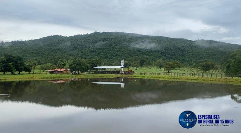 Imagem Fazenda à Venda, 72 m² em Zona Rural - Morro Agudo De Goiás Imagem Fazenda à Venda, 72 m² em Zona Rural - Morro Agudo De Goiás