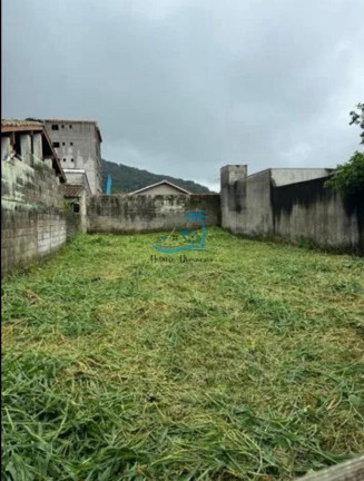 Imagem Terreno à Venda, 250 m² em Perequê Açu - Ubatuba