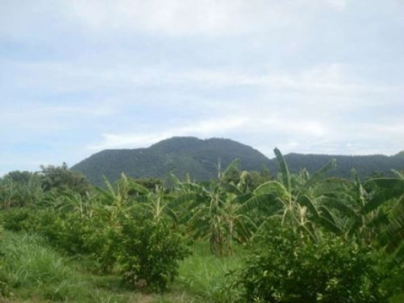 Imagem Terreno à Venda, 48.400 m² em Ponta Negra - Maricá