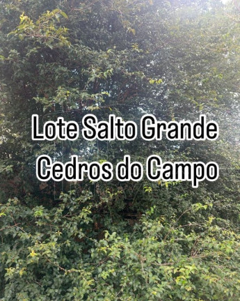 Terreno em Condomínio à Venda, 441 m² em Jardim Salto Grande - Araraquara