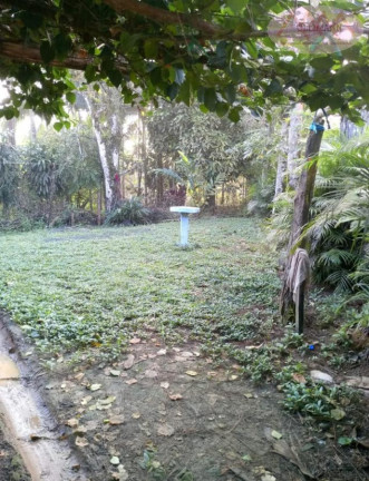 Imagem Imóvel com 4 Quartos à Venda, 3.262 m² em Iguape - Iguape
