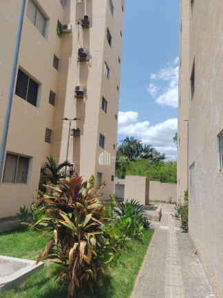 Imagem Apartamento com 3 Quartos à Venda, 59 m² em Dirceu I - Teresina Imagem Apartamento com 3 Quartos à Venda, 59 m² em Dirceu I - Teresina