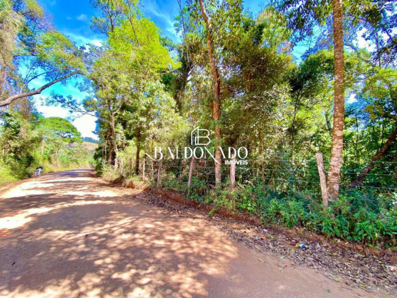Imagem Imóvel com 2 Quartos à Venda, 12.000 m² em Centro - Munhoz