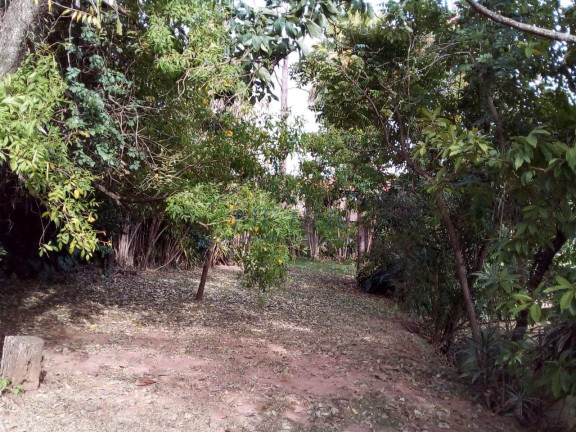 Imagem Fazenda à Venda, 5.464 m² em Centro - Pirassununga Imagem Fazenda à Venda, 5.464 m² em Centro - Pirassununga